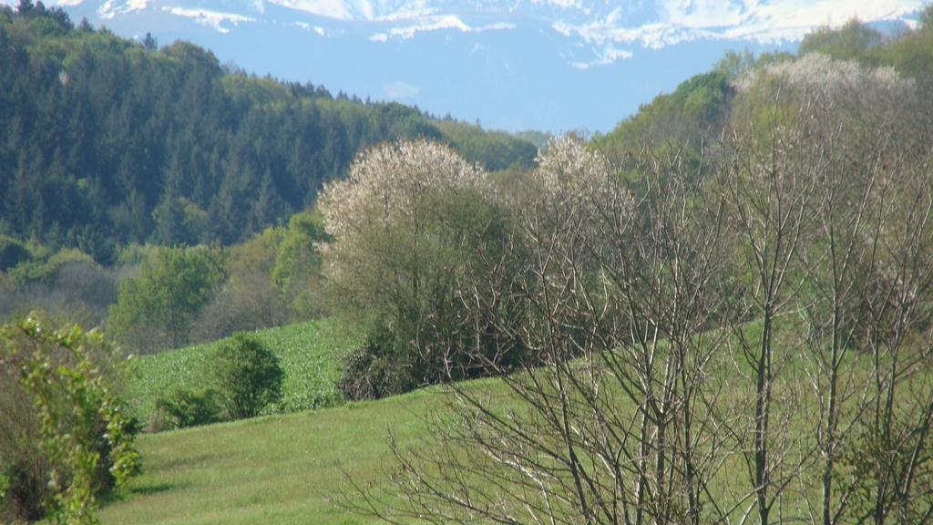 Gite Du Paradis Vieuzos المظهر الخارجي الصورة